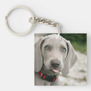 Lustiger Hund streckt Zunge heraus Foto Schlüsselanhänger