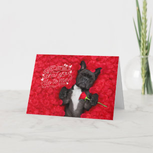 Lustiger Hund und rote Rosen Frohen Valentinstag Karte