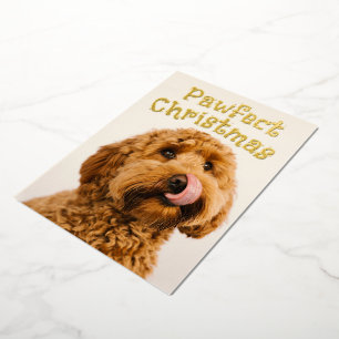 Lustiger Hund Weihnachten doppelseitige Folien-Pos Folien Feiertagskarte