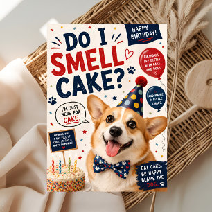Lustiger Hundegeburtstag Karte
