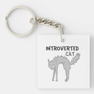 Lustiger introvertierter Katzenanhänger | Geschenk Schlüsselanhänger