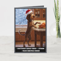 Lustiger Italienischer Spinone