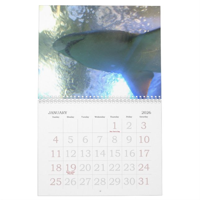 Lustiger Kalender der Tier-2012 (Jan 2026)