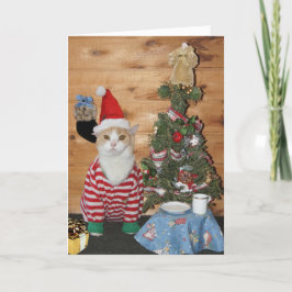 Lustiger Katzen-/Miezekatze-Weihnachtsmorgen Feiertagskarte