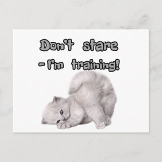 Lustiger Katzenaufkleber / Postkarte