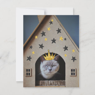 Lustiger Katzenhumor Goldener Glitter Bling-Krone Karte