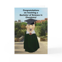 Lustiger Labrador-Chemie-Absolvent