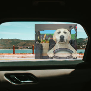 Lustiger Labrador Retriever Hund fährt Auto Sonnen Fensteraufkleber