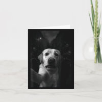 Lustiger Labrador-Selfie Zombie Halloween Hund