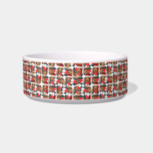 Lustiger Langhaar-Dackel-Name-Weihnachts-Pattern Napf