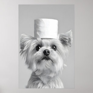 Lustiger malteser Hund mit Toilettenpapierhut, Bad Poster