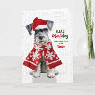 Lustiger Miniaturschnauzer mit Flöhen Navidog mit Feiertagskarte