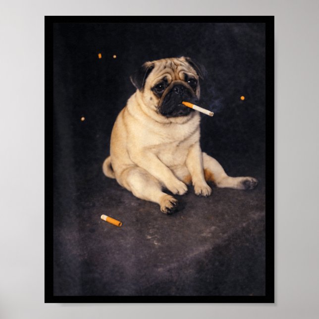 Lustiger Mops, der Meme-Zigarette raucht, Hund Mem Poster (Vorne)