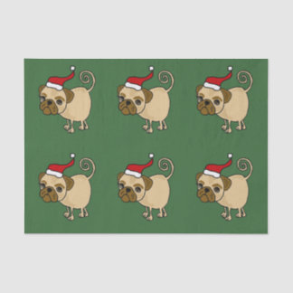 Lustiger Mops im Seidenpapier