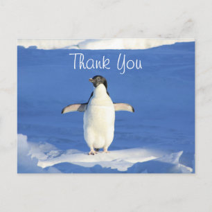 Lustiger Pinguin Danke Postkarte