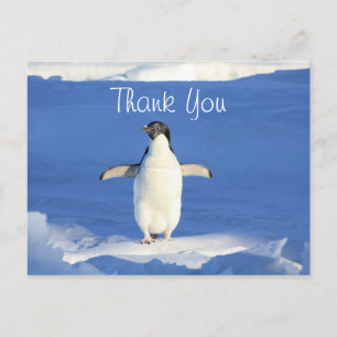 Lustiger Pinguin Danke Postkarte