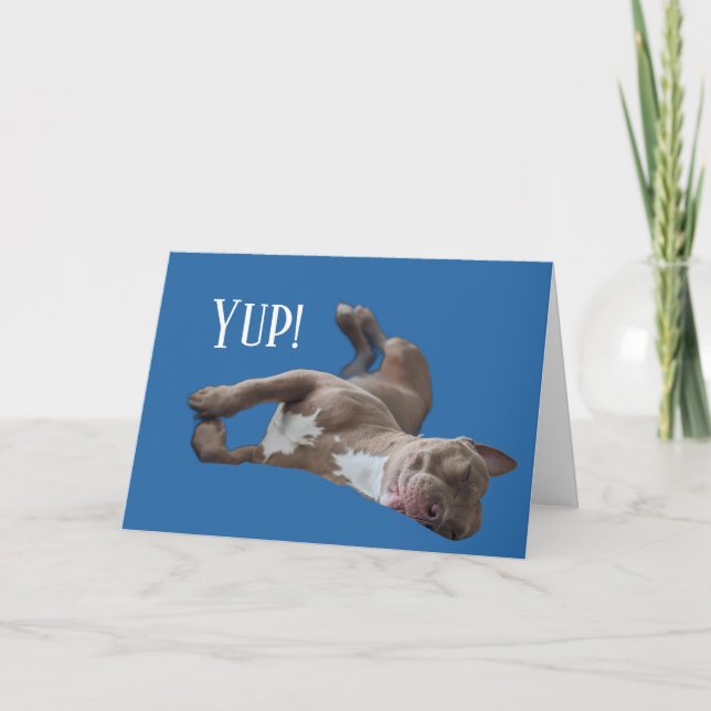 Lustiger Pit Bull Karte (Vorderseite)