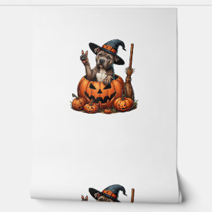 Lustiger Pitbull Hexen-Kürbis-Hund Halloween Männe Tapete