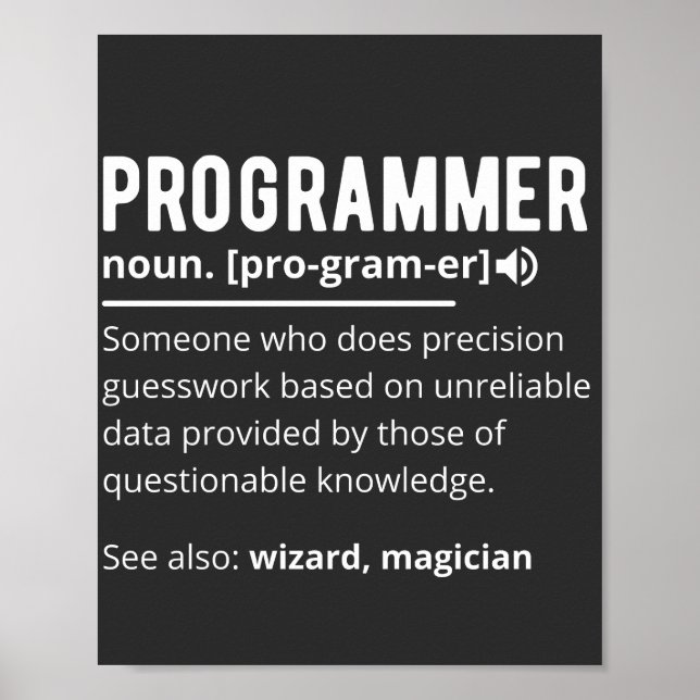 Lustiger Programmierer-Code-Entwickler-Bedeutung D Poster (Vorne)