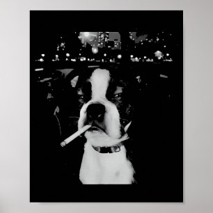 Lustiger rauchender Hund Meme Poster