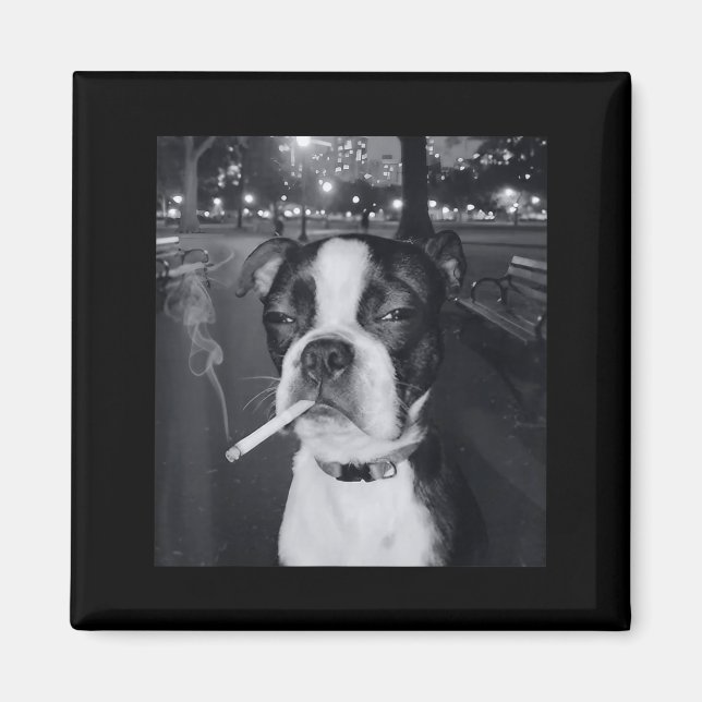 Lustiger rauchender Hund Meme Zigarette Gen Z Meme Magnet (Vorne)