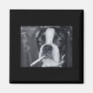 Lustiger rauchender Hund Meme Zigarette Gen Z Meme Magnet