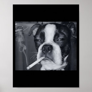 Lustiger rauchender Hund Meme Zigarette Gen Z Meme Poster