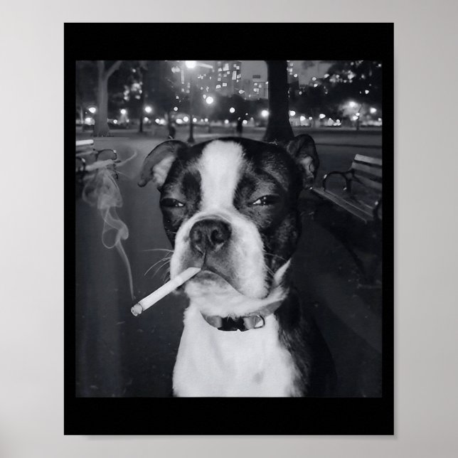 Lustiger rauchender Hund Meme Zigarette Gen Z Meme Poster (Vorne)