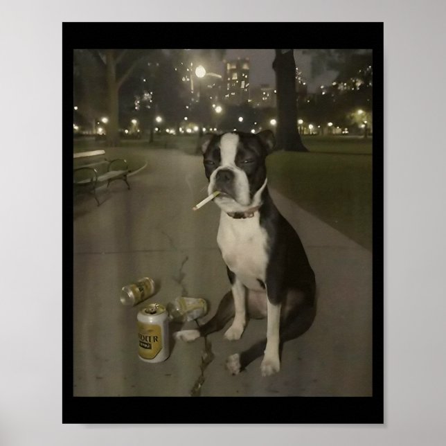 Lustiger rauchender Hund Meme Zigarette Gen Z Meme Poster (Vorne)