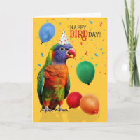 Lustiger Regenbogen-Lori-Papageien-Geburtstag