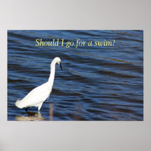 Lustiger Reiher Poster
