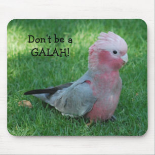 Lustiger rosa Cockatoo sind nicht ein Galah Mousepad