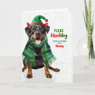 Lustiger Rottweiler-Hund Flöhe Navidog mit Namen Feiertagskarte