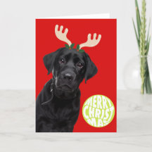Lustiger schwarzer Labrador-Hund PetCristmas Tenni
