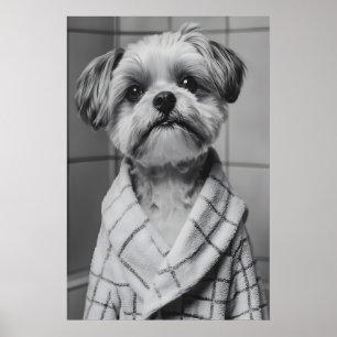 Lustiger Shih Tzu Bademantel Druck, Skurriles Hund Poster