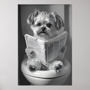 Lustiger Shih Tzu Badezimmer Druck, Zeitung lesend Poster