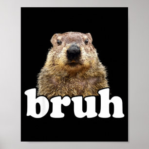 Lustiger Spruch Bruh Murmeltier Tierliebhaber Murm Poster
