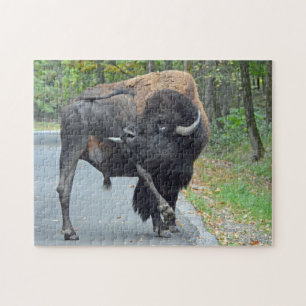 Lustiger Stier-Bison, der seine Testikel leckt Puzzle