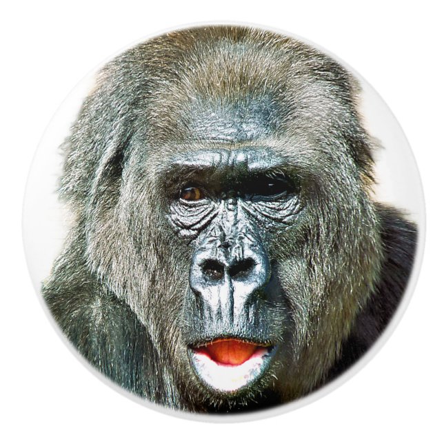 LUSTIGER SÜßER GORILLA KERAMIKKNAUF (Vorderseite)