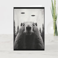 Lustiger Ufo Alien entführt Groundhog Süßer Waldmu