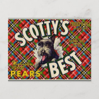 Lustiger Vintage-Scotty-Hund im Karomuster - Postk Postkarte