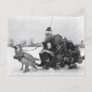 Lustiger Vintage-Weihnachtsmann-Puten-Schlitten Postkarte