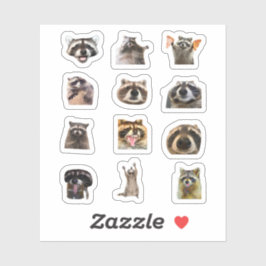 Lustiger Waschbär-Meme-Aufkleber-Set-Bundle Aufkleber