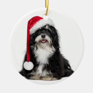 Lustiger WeihnachtenHavanese Hund mit Keramikornament