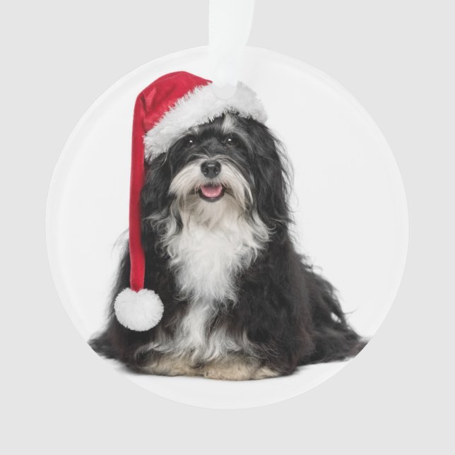 Lustiger WeihnachtenHavanese Hund mit Ornament (Vorderseite)