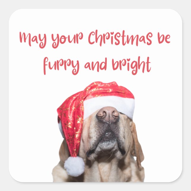lustiger Weihnachtshund Quadratischer Aufkleber (Vorderseite)