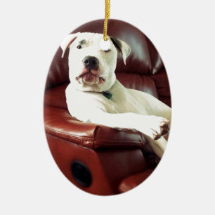 lustiger weißer Pitbull-Hund auf dem Sofa Keramikornament