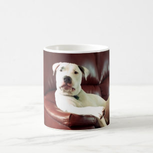 lustiger weißer Pitbull-Hund auf dem Sofa Tasse