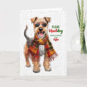 Lustiger Welsh-Terrier-Hund Flöhe Navidog mit Name Feiertagskarte