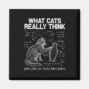 Lustiger Wissenschaftskatze Physiklehrer Was Katze Magnet
